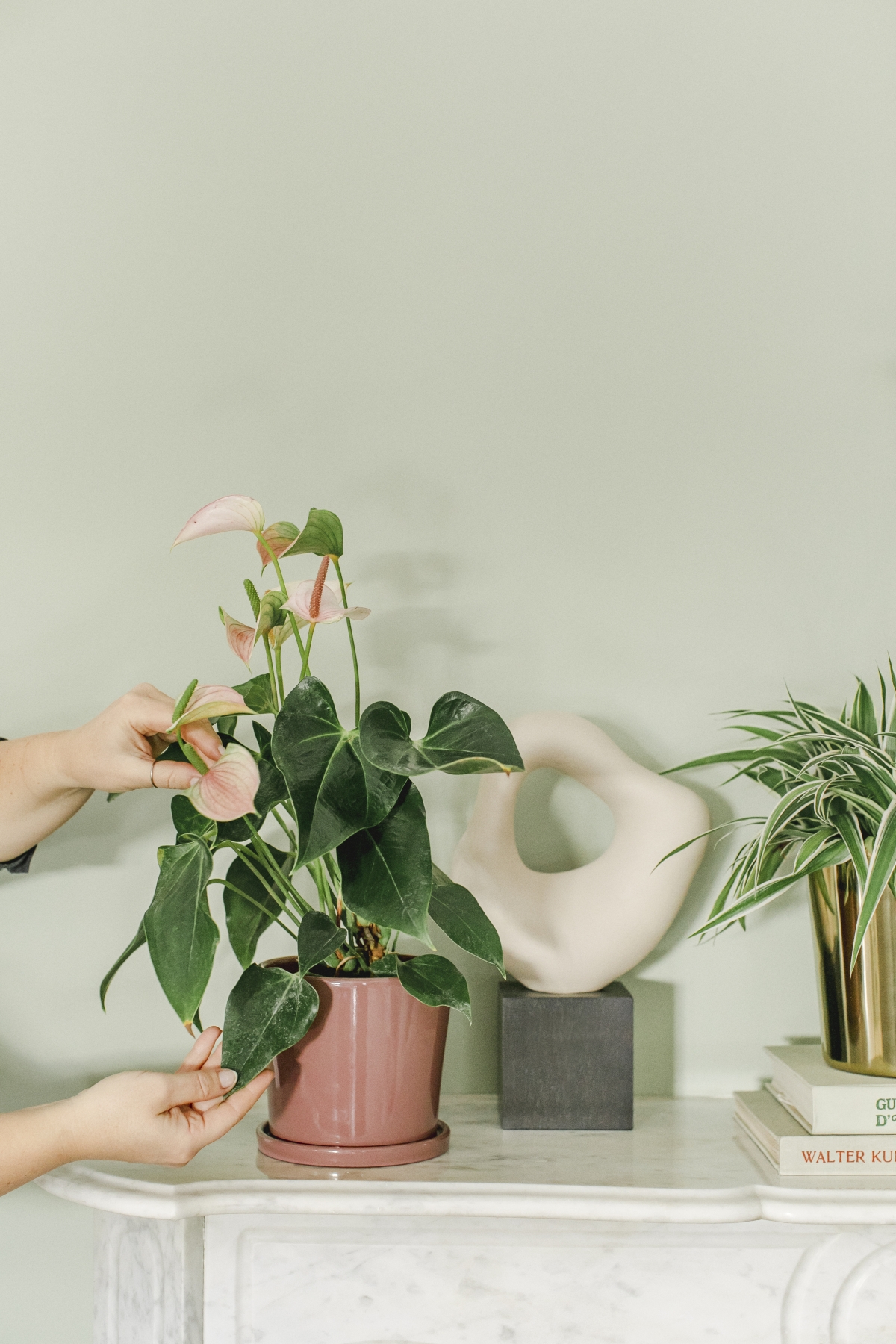 Urban Jungle Bloggers x H&M Home #hmhome #urbanjunglebloggers