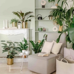 Urban Jungle Bloggers x H&M Home #hmhome #urbanjunglebloggers