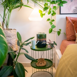 Urban Jungle Bloggers - Briiv air filter