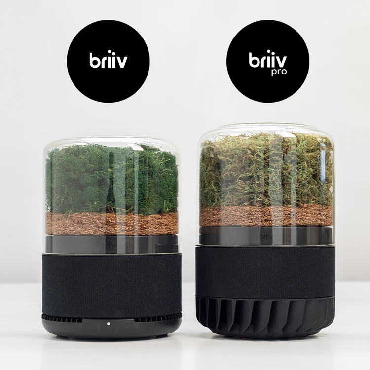 Urban Jungle Bloggers - Briiv air filter