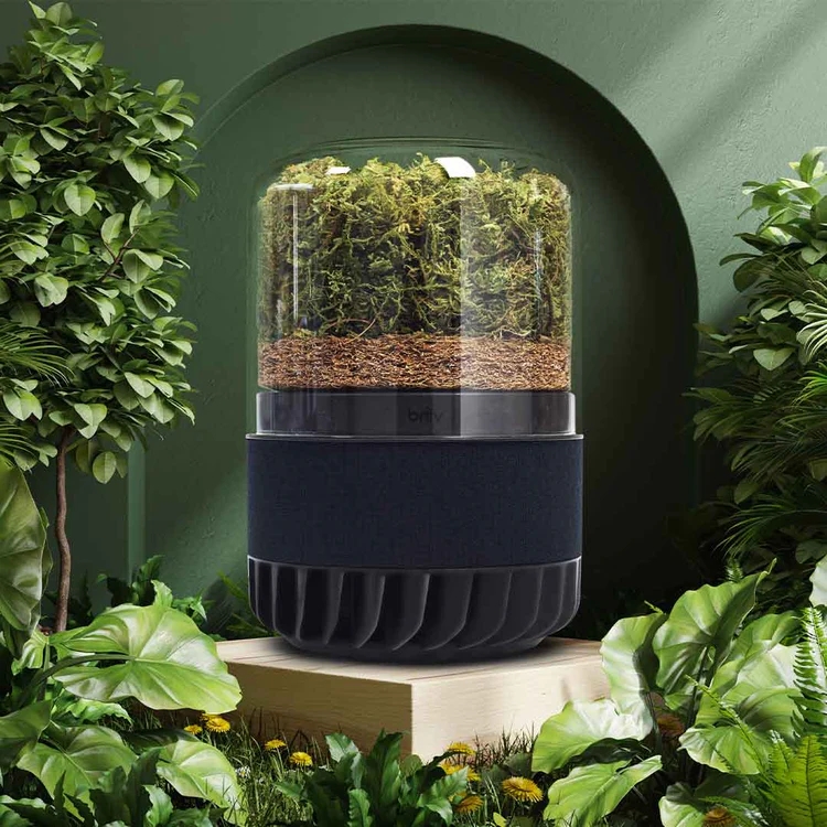 Urban Jungle Bloggers - Briiv air filter